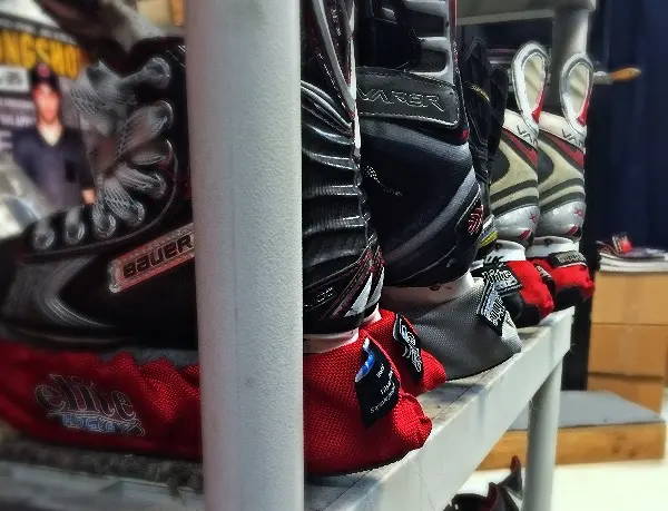 Skates lined up at No Sweat after sharpening